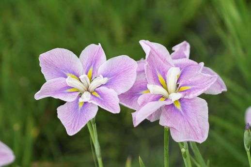 あなたはどちらの生き方を希望しますか！(^^♪