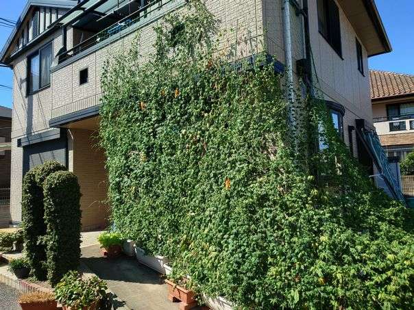 来年はこれだ！