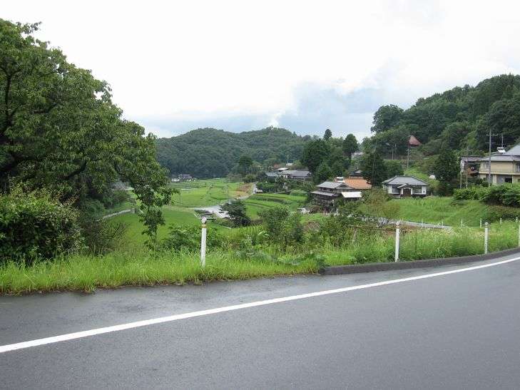 今日は故郷に帰り墓参り！