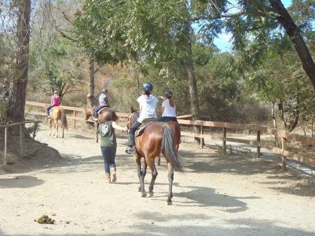 プロフィールの「趣味」に見栄を張らないで！